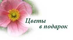 Искусство очаровывать